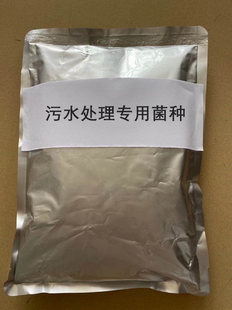 解決養(yǎng)豬場糞水用污水處理專用菌種