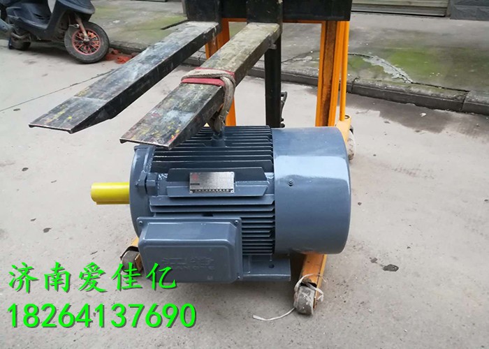 愛(ài)佳億江特電機(jī)塔機(jī)起升三速電機(jī)塔吊電機(jī)塔機(jī)配件